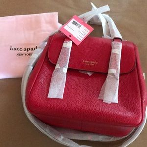 Super Cute convertible purse / back pack